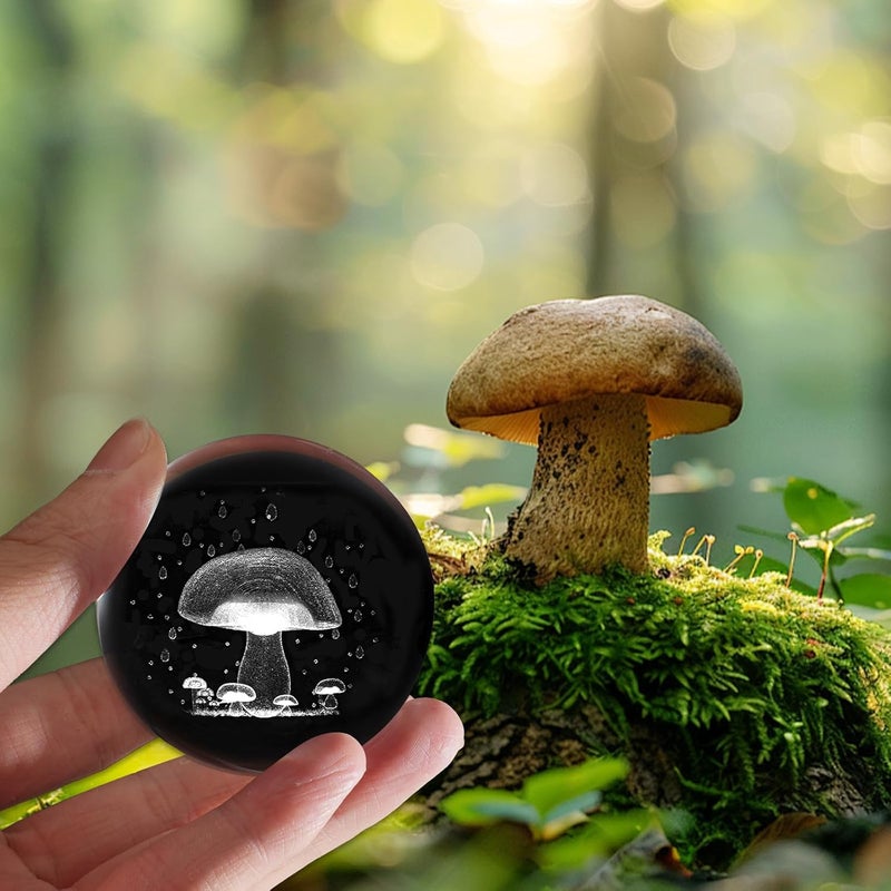 PYJ3DLAMP 3D Mushroom Crystal Ball with Stand Lase Engraved Glass Sphere Paperweight Mushroom Decor Gift - Image 5